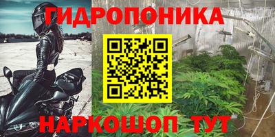 прущие грибы Ангарск
