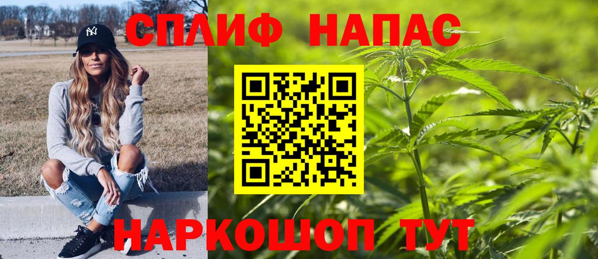Шишки марихуана Amnesia Гатчина
